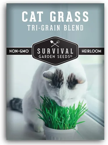 Miniatura 10 de Semillas de hierba para gatos para plantar, 2 paquetes con instrucciones para plantar y cultivar verduras para tu mascota en interiores o exteriores