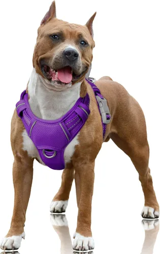 Miniatura 69 de BARKBAY Arnés para Perro Sin Tirones Talla Grande Arnés Reflectante para Perro con Clip Frontal y Asa de Control Fácil para Caminar Entrenar Correr