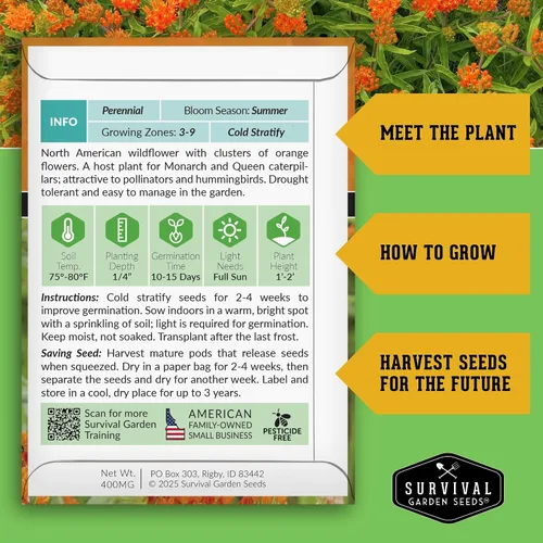 Miniatura 2 de Semillas de algodoncillo de mariposa para plantar, reliquia Asclepias Tuberosa, flores naranjas nativas para mariposas monarca y jardines