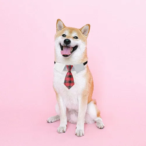 Miniatura 5 de Collar ajustable para perros pequeños, medianos y grandes, corbata de cumpleaños para perros (mediano, cuadros rojos/negros)