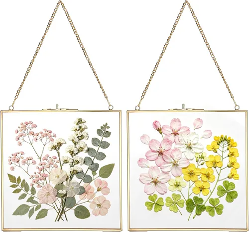 Miniatura 11 de JUXYES Paquete de 2 marcos cuadrados de latón para colgar en la pared para flores prensadas, marco de exhibición de ilustraciones de doble vidrio