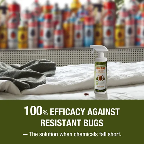 Miniatura 5 de EcoVenger (anteriormente EcoRaider) Mata insectos con rociador remoto de 1 galón – Mata al 100% todas las etapas al contacto, mata insectos