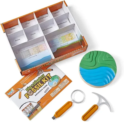 Miniatura 6 de hand2mind - Kit de excavación de fósiles para excavar y exhibir, vitrina de fósiles, 8 fósiles reales para descubrir, kits de excavación para niños