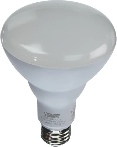 Miniatura 6 de Feit PAR38/G/LEDG5 - Reflector LED verde PAR38