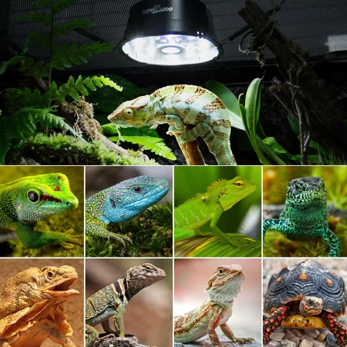Miniatura 7 de REPTI ZOO Luz UVB para Reptiles con Atenuación, Bombilla LED UVB con Soporte para Dragón Barbudo Gecko Lagarto Tortuga Serpiente, Luminosidad