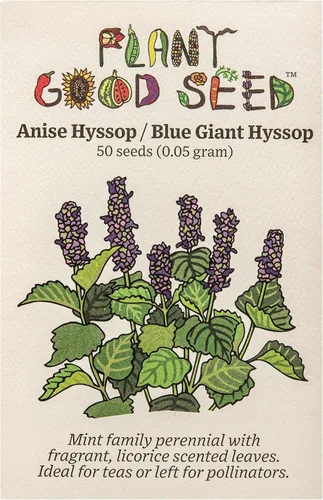 Miniatura 3 de Plant Good Seed Plant Good Seed Nettleleaf - Semillas de hisopo gigante, paquete de 250, semillas de reliquia para plantar flores, suministros