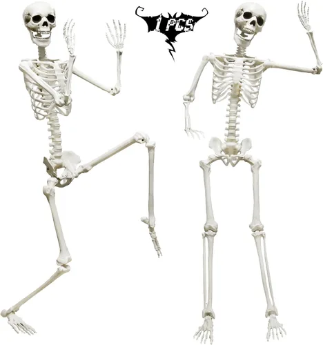 Miniatura 11 de CAMIRUS Paquete de 5 decoraciones de esqueleto de Halloween, mini esqueletos de cuerpo completo de 16 pulgadas con articulaciones articulables
