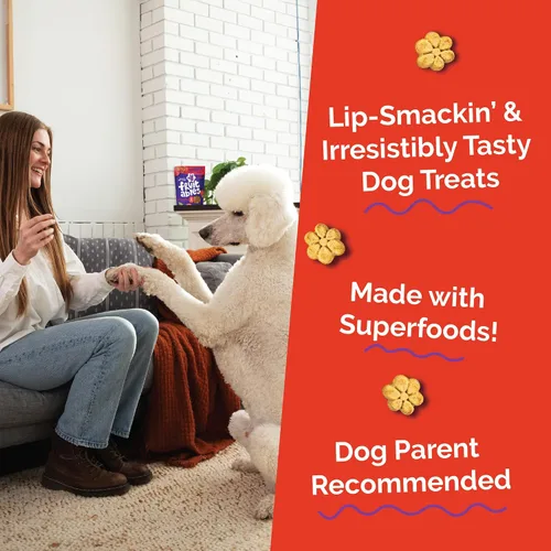 Miniatura 2 de Fruitables Golosinas horneadas para perros, golosinas saludables de calabaza para perros, bajas en calorías y deliciosas, libres de trigo, maíz
