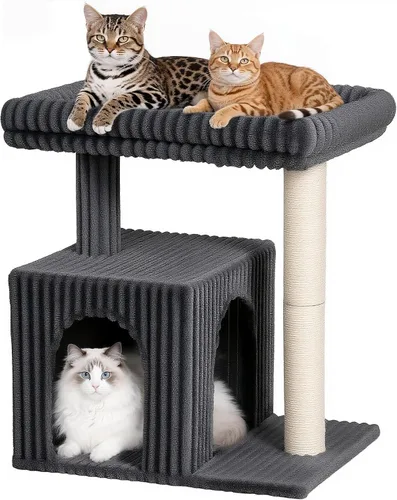 Árbol para gatos grandes, 20.9 x 15.7 pulgadas, cama de percha grande para gatos adultos, torre para gatos de 22.8 pulgadas con poste rascador,