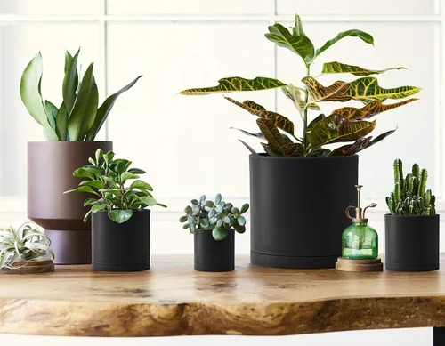 Miniatura 7 de D'vine Dev Paquete de 10 macetas de plástico para plantas, maceta cilíndrica para suculentas de interior de 6.5/6/5.5/4.5/4/3.5/3/2.5/2 pulgadas