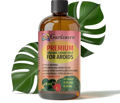 Miniatura 99 de GARDENERA Superalimento orgánico prémium de algas marinas y algas marinas para plantas AGLAONEMA, 8 onzas, concentrado de fertilizante líquido