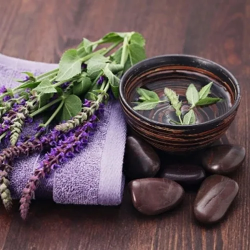 Miniatura 2 de Seeds Garden Sage Medicinal - Salvia Officinalis - Tulasi de interior - Hierbas tradicionales - Sin OMG