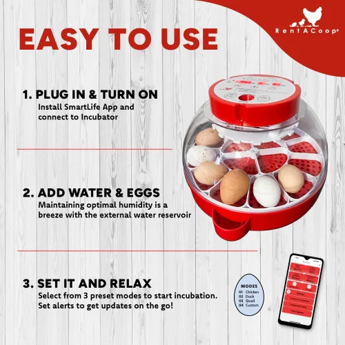 Miniatura 5 de RentACoop Incubadora inteligente de 16 huevos: controlada por aplicación, giro automático, luz de vela integrada perfecta para pollos, patos