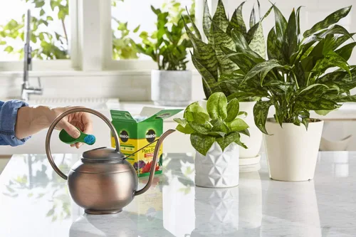 Miniatura 6 de Miracle-Gro Alimento soluble en agua para plantas multiusos - Fertilizante para todas las plantas de interior o exterior, incluyendo rosas, flores