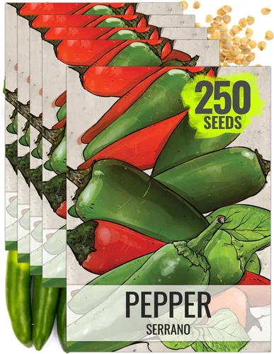 Miniatura 9 de Seed Needs Semillas de pimiento picante para plantar chiles serranos, semillas de vegetales sin OMG y sin tratar para plantar un jardín vegetal