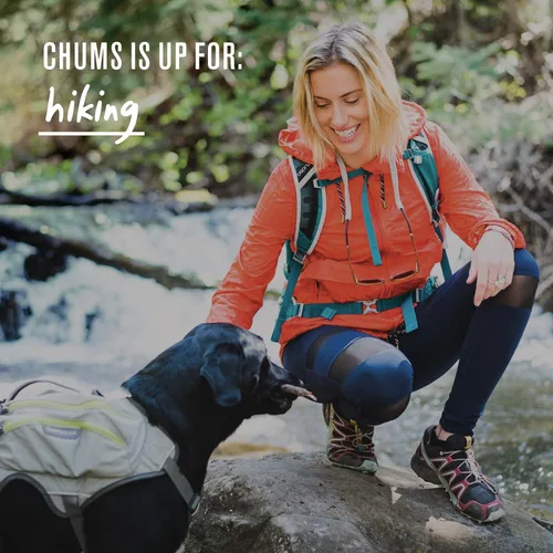 Miniatura 5 de Chums Original de algodón - Sujetador de seguridad para anteojos unisex - Ajuste ajustable y fabricado en EE. UU. (tamaño de punta estándar)