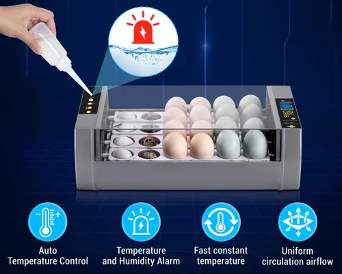 Miniatura 3 de Gpeng Incubadora de huevos, incubadora de 24 huevos con pantalla digital, giro automático de huevos, control automático de temperatura, para incubar