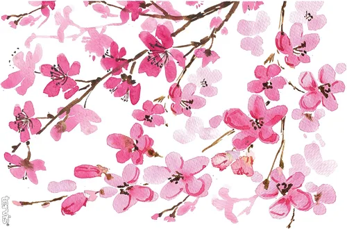 Miniatura 2 de Vaso de flor de cerezo japonesa de 16 onzas con tapa