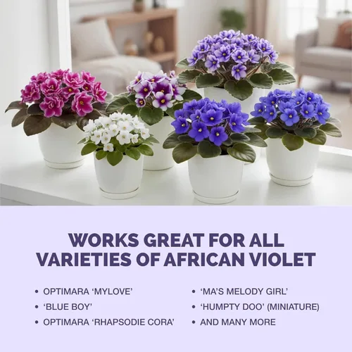 Miniatura 6 de Fertilizante violeta africana – Alimento líquido vegetal para más floraciones, hojas verdes ricas y desarrollo saludable de raíces, 8 onzas