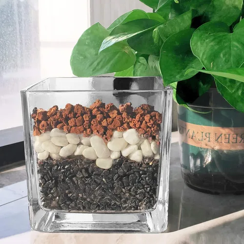 Miniatura 4 de Rocas de lava roja para plantas, 100% roca volcánica pura, sin tintes ni productos químicos, el mejor aderezo para plantas suculentas de cactus