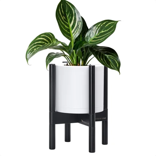 Miniatura 61 de Maceta de D'vine Dev con soporte - Maceta de flores de cilindro de plástico de 8.0 pulgadas con soporte de madera para interiores, maceta mate negra