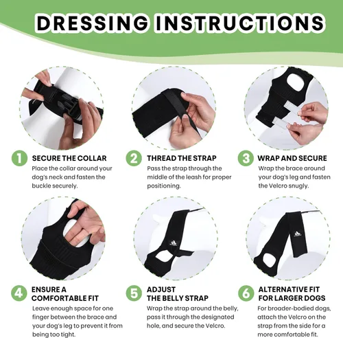 Miniatura 7 de Rodillera universal para perro con paquete de terapia de frío/calor, ajustable, transpirable, collar extra cómodo con soporte estabilizador