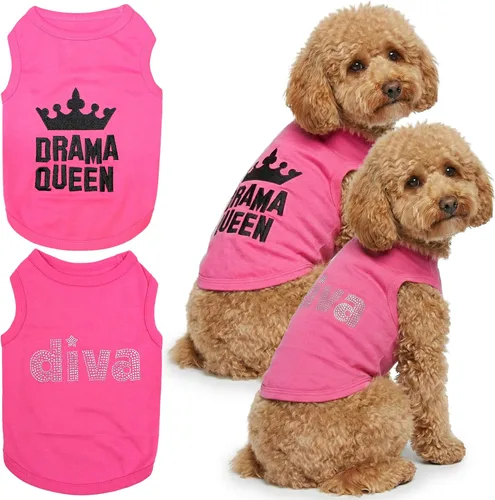 Miniatura 10 de Parisian Pet - Camiseta bordada para perros y gatos, con texto en inglés Sexy and I Know It, XS Sexy y lo sé