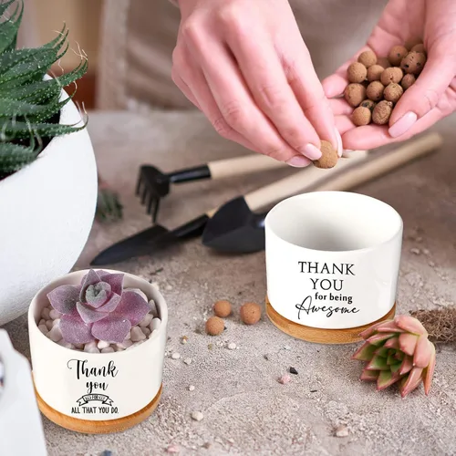 Miniatura 7 de Yaomiao 20 piezas de regalo de la semana de CNA, regalos de agradecimiento a los empleados, regalos de plantas suculentas a granel para mujeres