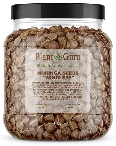 Semillas de Moringa sin alas 1 lb. JAR de boca ancha - PKM1 Variedad - Comestible para picar - Plantación - Moringa Oleifera - Malunggay - Semillas