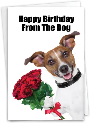 Miniatura 18 de NobleWorks - Tarjeta de felicitación de cumpleaños con sobre de 5 x 7 pulgadas (1 tarjeta), divertida celebración de cumpleaños de animales - Bandas