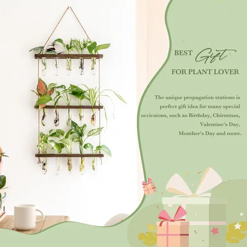 Miniatura 3 de Mkono Tubos de propagación de plantas, terrario colgante de pared de 3 niveles con soporte de madera, mini tubo de ensayo, florero de flores, Marrón