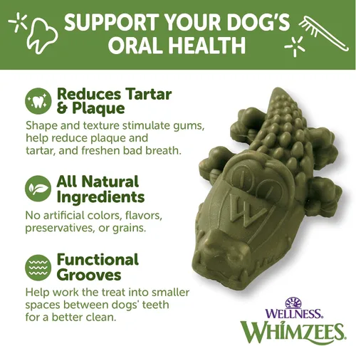 Miniatura 3 de Whimzees Wellness Alligator - Golosinas dentales para perros, masticables naturales, tamaño mediano, (12 unidades)