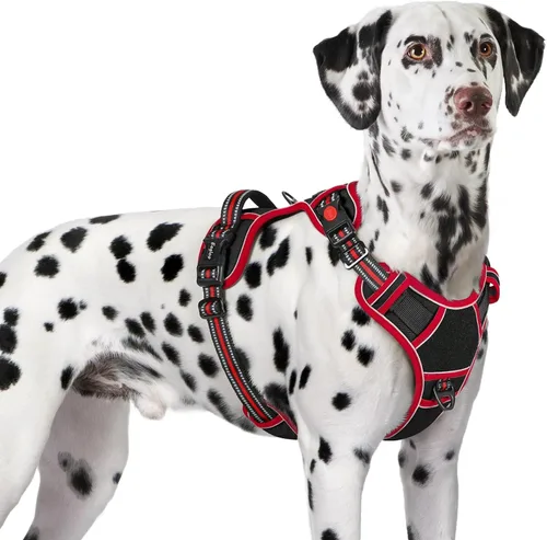 Miniatura 24 de Eagloo Arnés para perro de tamaño pequeño, fácil de llevar con 3 hebillas, arnés ajustable sin tirones para mascotas con sistema MOLLE, chaleco