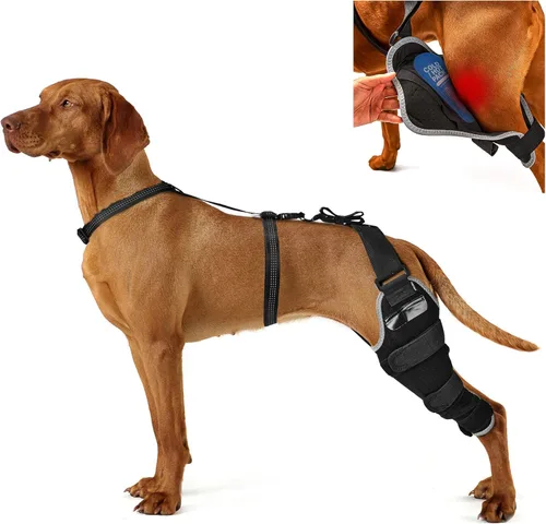 Miniatura 9 de Perro ACL Brace pata trasera – Soporte de pierna trasera ajustable transpirable con gel de compresión caliente/frío para artritis, hinchazón