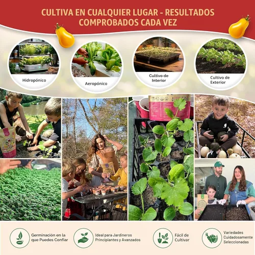 Miniatura 5 de Organo Republic Paquete de Variedad de 14 Semillas Raras de Tomate y Tomatillo para Jardín - Más de 1,020 Semillas de Tomate y Tomatillo Reliquia