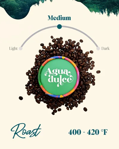 Miniatura 5 de Agua Dulce Café molido 100% arábica de origen único, especialidad gourmet de comercio justo de Costa Rica, proceso de miel, 12 onzas, paquete de 1