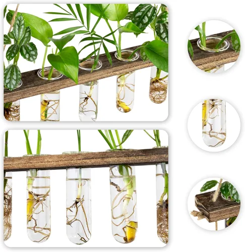 Miniatura 5 de Estación de Propagación de 3 Niveles Grandes para Pared, Terrario de Plantas con Soporte de Madera, Tubo de Prueba Retro para Plantas Hidroponías