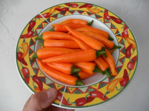 Miniatura 3 de Semillas de pimienta tailandesa naranja