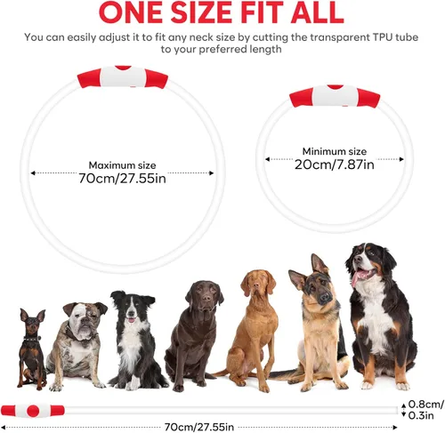 Miniatura 5 de Collar de perro LED Higo - Collares de perro con luz recargable por USB, collar LED para perros con flash DIY para paseos nocturnos de tus perros