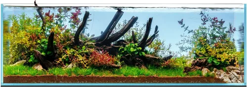 Miniatura 29 de UNS Acuario Ultra Claro Sin Borde - 25.6GAL 97.2L - 23.62x14.17x17.71 60x36x45 CM, Grosor de Vidrio de 6mm, Incluye Alfombrilla Nivelante