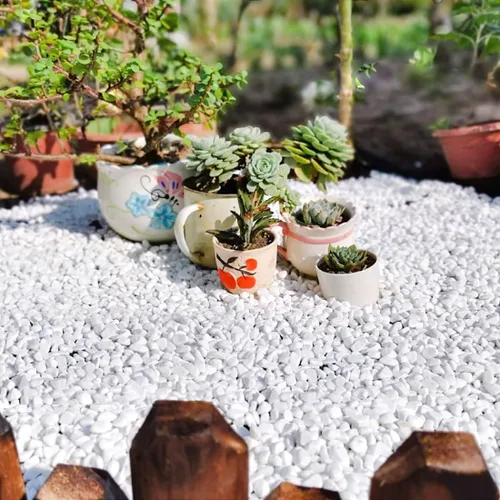 Miniatura 4 de YISZM Grava para suculentas y cactus de 10 libras, guijarros pulidos decorativos naturales blancos de 1/5 pulgadas para paisajismo, rocas de río