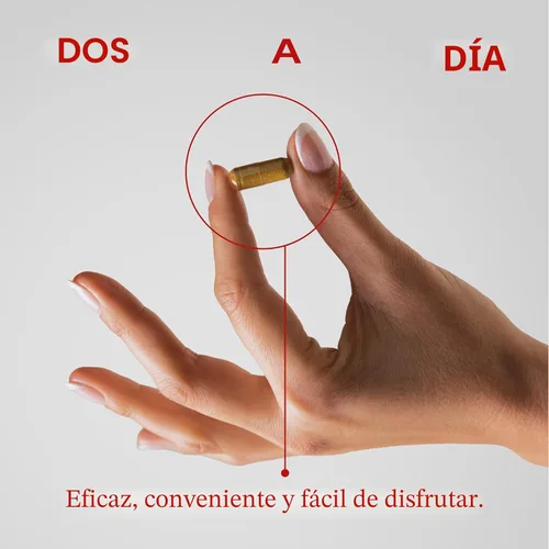 Miniatura 8 de Humann Daily Wellness, Cápsulas de extracto de semilla de uva y suplementos de circulación de ácido hialurónico, a base de plantas sin OMG, 60