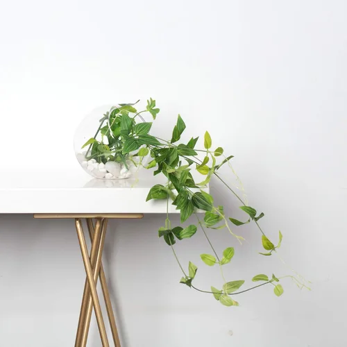 Miniatura 6 de WGV Jarrón de vidrio con corte inclinado, ancho 14 cm, altura 14 cm, transparente, redondo, maceta para plantas, terrario, orbe, recipiente