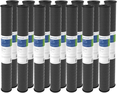 Pentair Pentek C1-20 Filtro de agua de carbono de doble propósito, cartucho de carbón activado en polvo de 20 x 2.5 pulgadas, reducción de olor de
