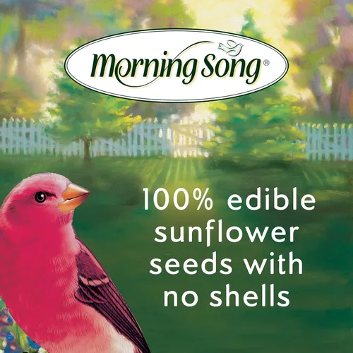 Miniatura 4 de Morning Song Sunflower Hearts & Chips - Alimento para pájaros silvestres, sin ensuciar, semillas de girasol para pájaros, bolsa de 5.5 libras
