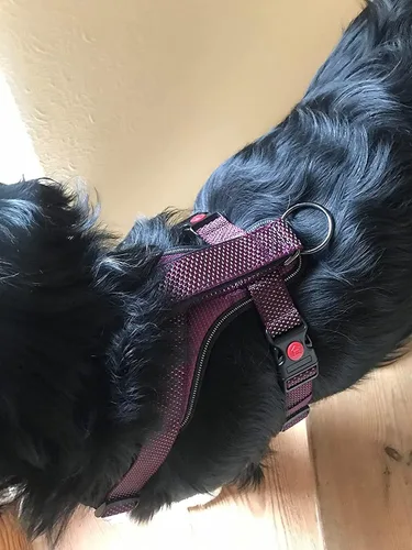 Miniatura 3 de LOS ANDES Arnés reflectante completo para perro, arnés ajustable sin tirones para mascotas, con clip frontal, chaleco acolchado suave con asa, arnés