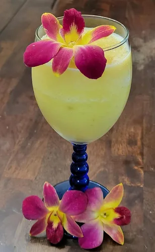 Miniatura 3 de Miami Fresh Orchid Flower OrchidClub USA Sunne Tropical Loose Bloom DIY Lei, decoración de alimentos y bebidas (50 amarillos)