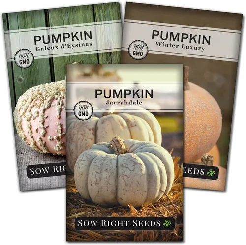 Sow Right Seeds - Colección decorativa de semillas de calabaza para plantar - Jarrahdale, Galeux d'Eysines y calabazas de lujo de invierno -
