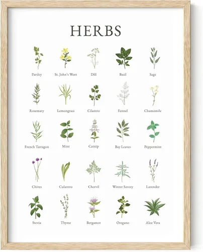 HAUS AND HUES Imágenes de hierbas para arte de pared de cocina, impresiones botánicas, arte de hierbas, hierbas de cocina y arte de cocina, Marco