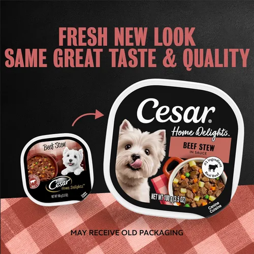 Miniatura 2 de Alimento húmedo para perros adultos de Cesar home